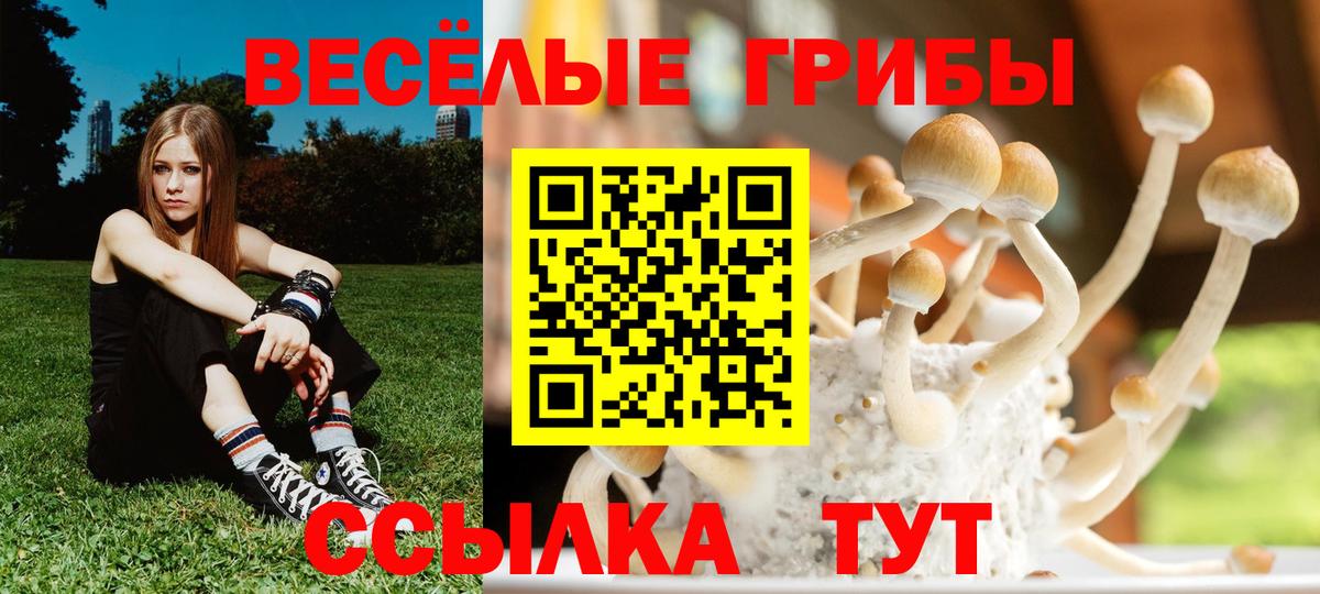 Галлюциногенные грибы MAGIC MUSHROOMS Люберцы