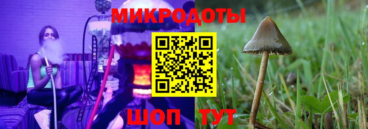 Галлюциногенные грибы Psilocybe  Вход с VPN  сколько стоит  Люберцы 